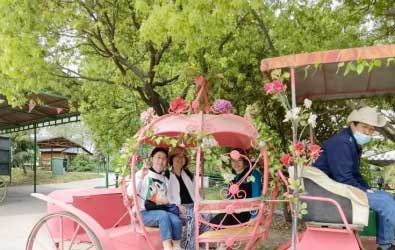 齊心協(xié)力，團(tuán)結(jié)一致 昆山穩(wěn)卓蘇州西山團(tuán)建之旅